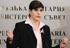 Измамата е била за реконструкция на градската градина с европейски