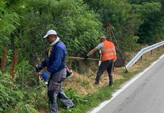 Дейностите включват косене на тревни площи и рязане на храсти