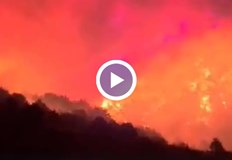 Около 400 души прекараха нощта в Сандански пожарът продължава да