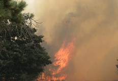 Задействана е системата BG ALERT заради възможна опасност за населениетоОбщо 11