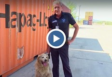 Голдън ретривърът помага в борбата с наркотрафика вече над десет