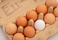 Ново изследване доказва че две яйца дневно дори понижават лошия