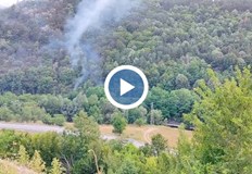 Паднало горящо дърво върху контактната мрежа доведе до спиране на