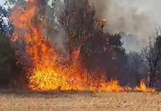 Огънят обхвана 600 декараГолям горски пожар бушува днес в планината