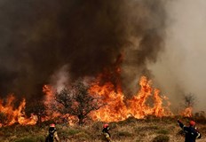 Природозащитниците алармират за невъзстановими загуби в екосистемитеМощни горски пожари бушуват