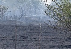 Огънят е овладян от седем екипа пожарникари като са използвани