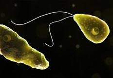 12 годишното момче се е заразило с изключително рядката амеба в