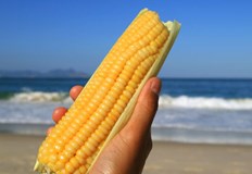 Плажната царевица поскъпна 150 процента за десет годиниПлажната царевица е