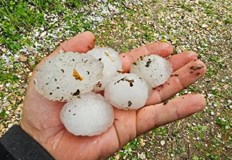 Директорът на Регионалната дирекция в Старо село алармира за сериозен