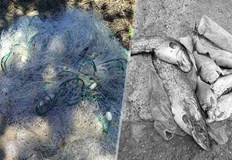 Един от нарушителите е осъждан два пъти за улов с