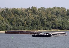 Корабоплаването в българския участък на реката е сериозно затрудненоКритична е