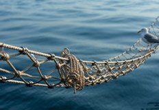 Съд в Монтана осъди мъж с прякор Видрата за 142