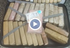 Митническо куче надуши 206 килограма наркотик за 37 милиона лева