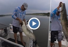 Тео от DnFishing демонстрира майсторство с техниката кльонк въпреки трудните