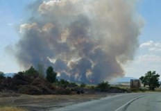 Четири екипа на пожарната се борят с огъня в дъбова