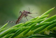 Силви Кирилов се ангажирал да стартира процедурата до 15 септемвриЗаместник кметът