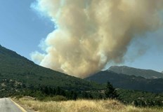 Хиляди хектари горят на гръцкия полуостровМащабен горски пожар бушува в