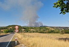 Вятърът затруднява локализирането засегната площ достига 1000 декараПожар избухна край