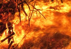 Работи се в труднопроходим теренПожар от големи мащаби обхвана над