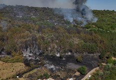 От Кметството в Николово призовават всеки който има възможност да