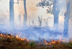 Пожарникарите се справиха с 10 извиквания за денонощие в регионаЗа