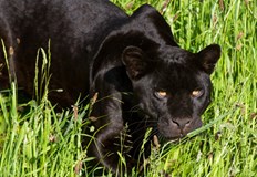 От ОДМВР Шумен призовават телевизионен репортер да даде обяснения