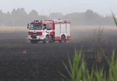 Инцидентът стана след силна гръмотевична буряПовече от 20 крави са