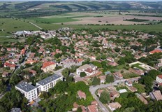 Търг с начална цена от 2000 лева може да определи