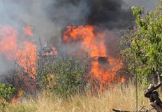 Огънят обхвана 800 декара гора между селата Мокрен и Градец