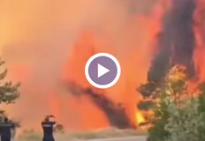 Видеокадри показват как дърветата изгарят мигновено а пожарникари бягат от