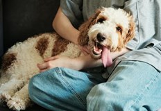 Ново проучване от Университета в Денвър разкрива че присъствието на