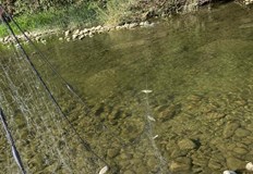 Използването на забранени уреди застрашава рибните популацииИнспектори от Териториално звено