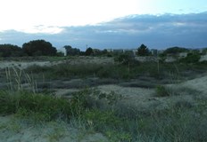 През уикенда ще бъде предимно слънчево със заоблачаване в следобедните