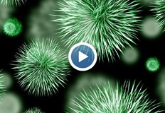 Микробът типичен за субтропиците се среща в Ропотамо и Велека