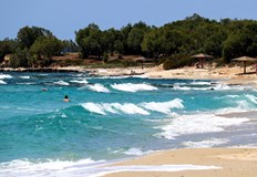 Четириногите работят с екипите на Гръцкия червен кръстГръцките спасителни служби