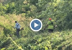 Жителите приветстват почистването на склона между пасарелките по булевард Придунавски Екипи