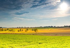 Облачността намалява до слънчево умерен вятър от запад северозападЗахлаждането продължава и