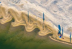 Фотографът Милчо Йовчев разкрива красотата на пресъхналия ДунавФотографът Милчо Йовчев