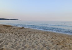 Експерти предупреждават да не се влиза във водата с отворени