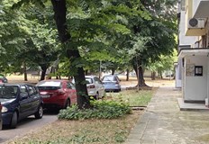 Инцидентът е станал в градинката пред блок Ела Дърво падна тази