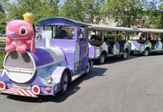 Майки и родители искат край на инцидентите със злополучната атракцияСлед