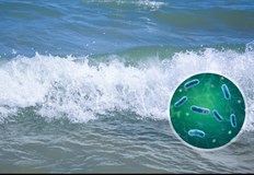 Християна Бацелова Спазвайте хигиена и няма да има проблем с