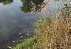 РИОСВ Пловдив уведоми полицията и изиска проверки на водовземаниятаДопълнителна