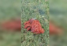 Експерти от БАН разкриха произхода на мистериозния обект паднал в