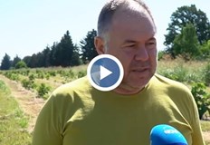 Причината за търсенето на алтернативни овошки са промените в климатаОвощарите