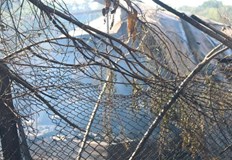 На най рисковите места са осигурени постоянни патрулиШест големи пожара са