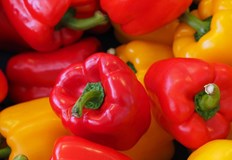 Богати на витамини и антиоксиданти те укрепват имунитета в горещите