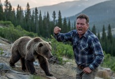 Инцидентът се случи близо до село Завратец мечката спряла на