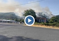 Огънят е в гориста местност всички обитатели са в безопасностГолям