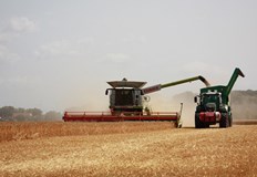 Североизточна България отново води класацията по най скъпа земяСредната цена на